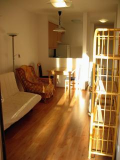 A Riverside apartmanban kiadó egy 46m2-es amerikai konyhás, nagy erkélyes lakás. 