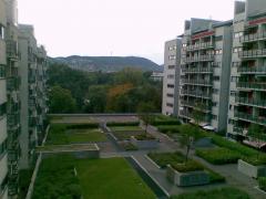 A Riverside apartmanban kiadó egy 46m2-es amerikai konyhás, nagy erkélyes lakás. 