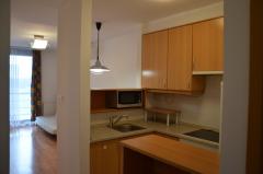 A Riverside apartmanban kiadó egy 46m2-es kis részben bútorozott lakás.