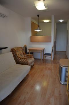 A Riverside apartmanban kiadó egy 46m2-es kis részben bútorozott lakás.